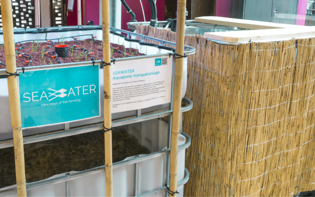 SEAWATER Cubes installiert Aquakultur-Kompaktanlage im IBA Future Lab der htw saar