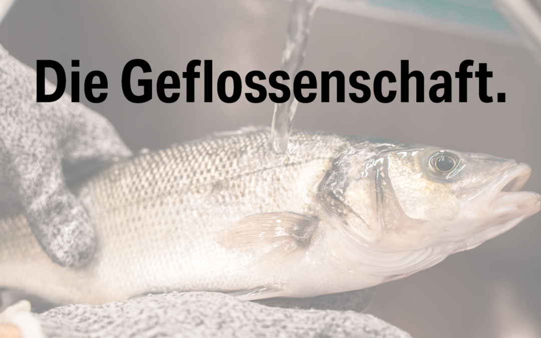 SEAWATER Cubes gründet mit Kunden Vertriebsgenossenschaft „Die Geflossenschaft. eG“ für Fisch